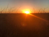 Sundowner Kalahari