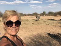 Rhino Drive