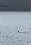 IMG_1992