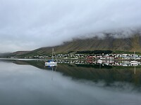 IMG_1993