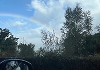 Regenboog vandaag