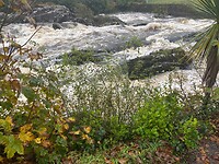 Sneem rivier