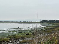 Meer onderweg