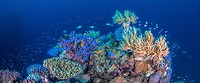 Great Barrier Reef