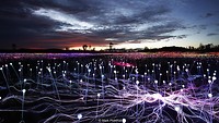 Fields of Lights
