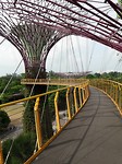 Gardens by the bay