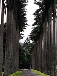 Botanische tuin