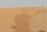 Zand, zand en nog eens zand!