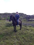 Jacq op n iceland horse