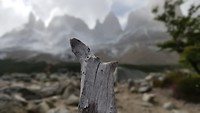 Torres del Paine, Patagonië