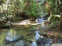 Ciudad Perdida