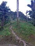 Ciudad Perdida