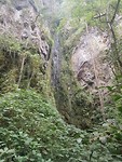 Bosque del Nieblas