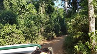 Iguazu