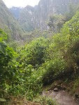 Inca Jungle trail