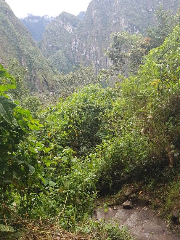 Inca Jungle trail