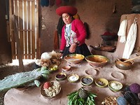 Inca Jungle trail