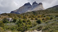 Torres del Paine