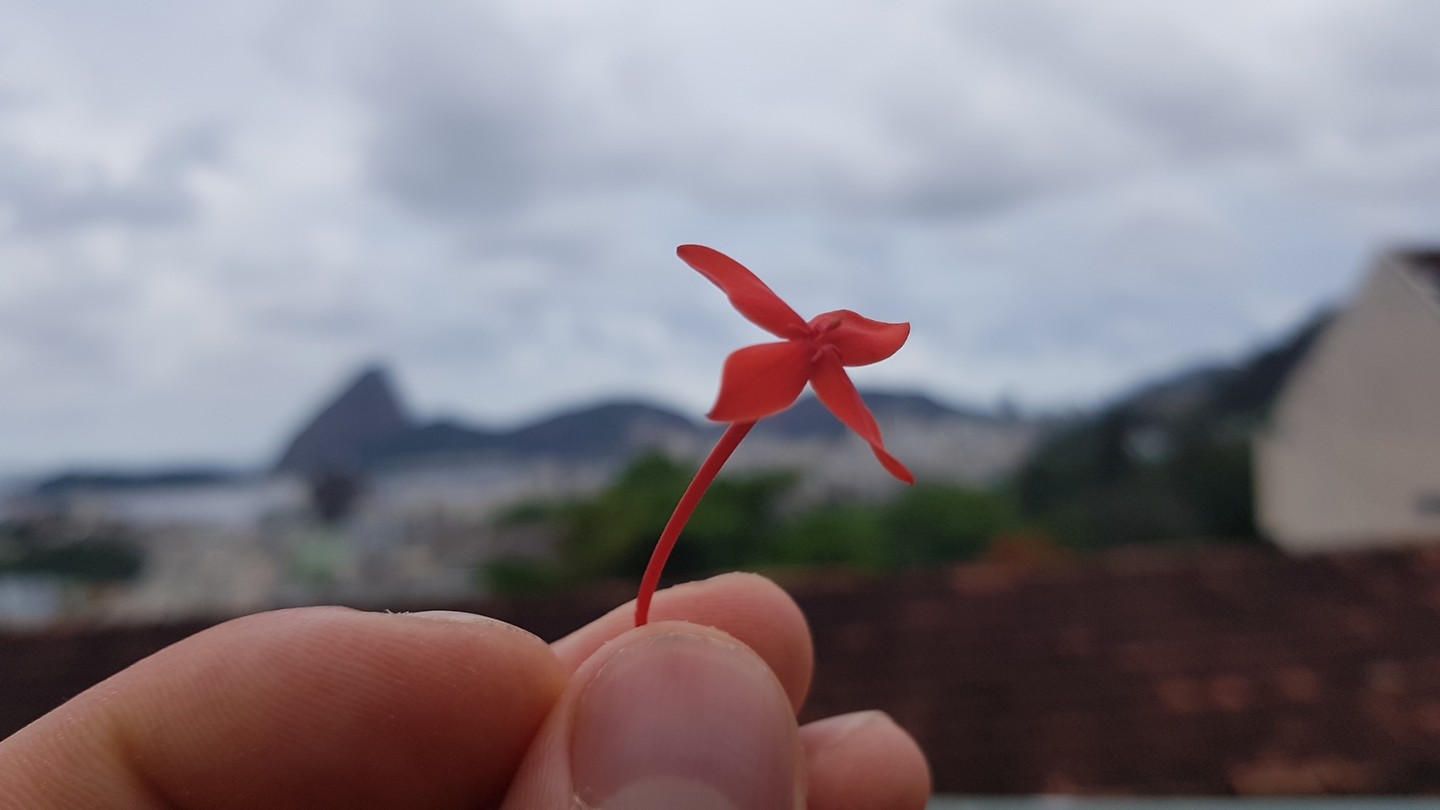 Rio
