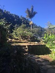 Ciudad Perdida