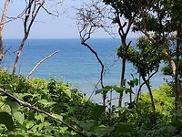 Tayrona Parque