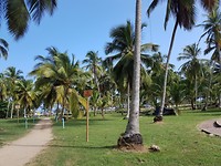 Tayrona Parque