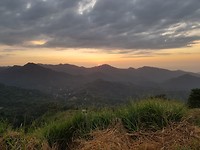 Minca