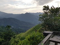 Minca