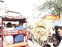 Riksja tour