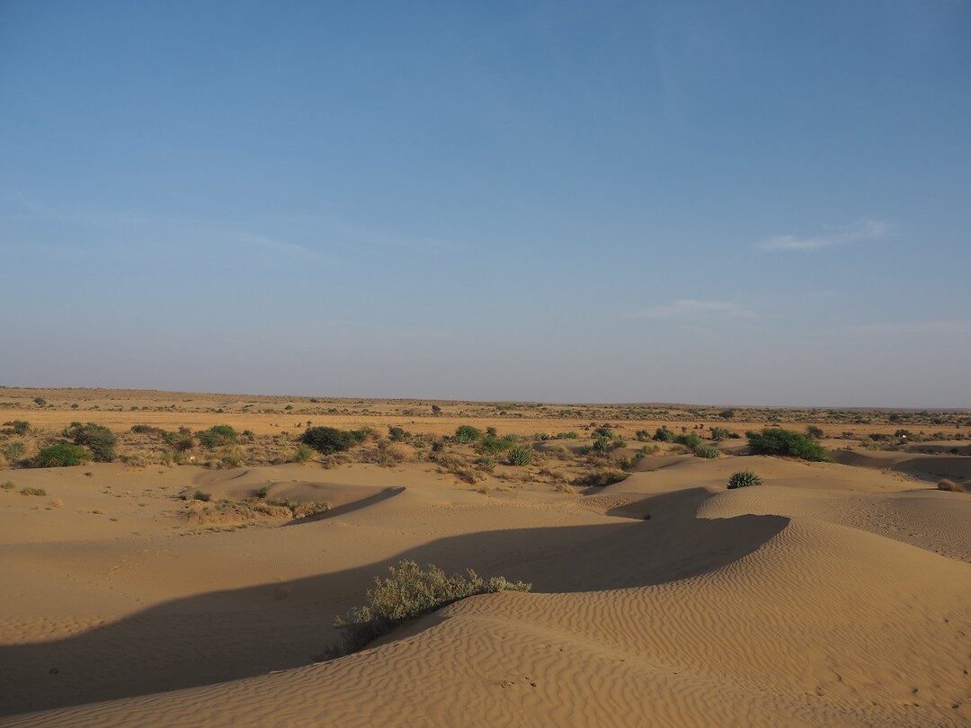 Sam Dunes