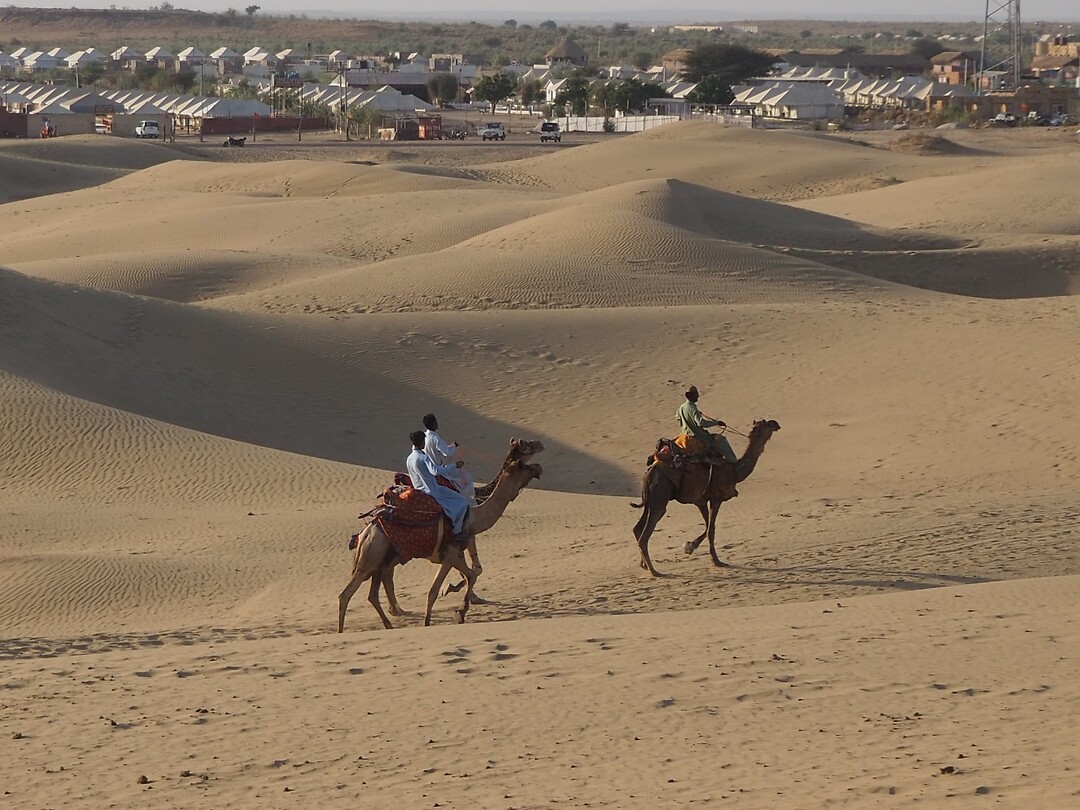 Kamelen in Sam Dunes