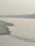 Rivier