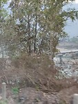 Onderweg vanaf Nuwakot