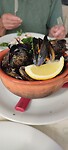 Cozze
