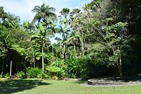 De botanische tuin in Cairns