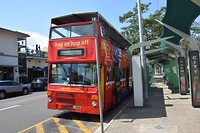 De hop-on hop-off bus