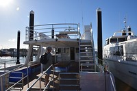 De whale watch boot