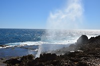 De Blowholes