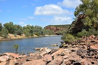 Ross Graham lookout