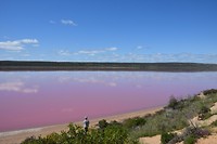 Pink Lake bij Port Gregory