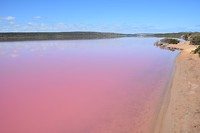 Pink Lake bij Port Gregory