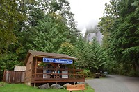 Shannon Falls