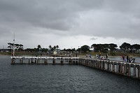 DSC_9479