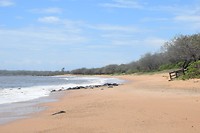 Op dit strand gebeurt het