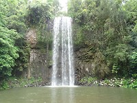 Millaa Millaa Falls