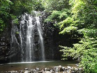 Ellinjaa Falls