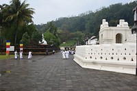 Tempel van de tand