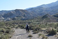 Tabernas woestijn