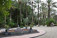 De palmentuin (El Palamar)