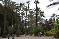 El Palamar